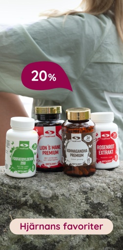 20% | Hjärnans favoriter – för fokus & koncentration